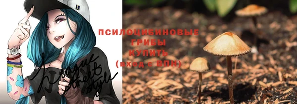 прущие крисы Богданович