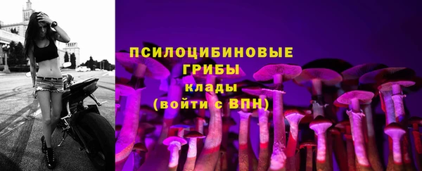 прущие крисы Богданович