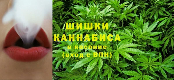 прущие крисы Богданович