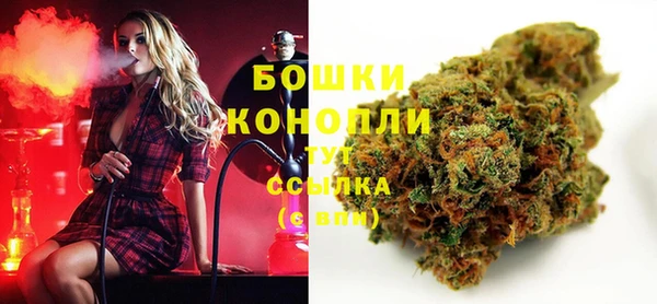 прущие крисы Богданович