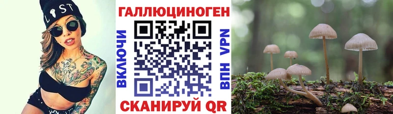 Галлюциногенные грибы прущие грибы  Тверь 